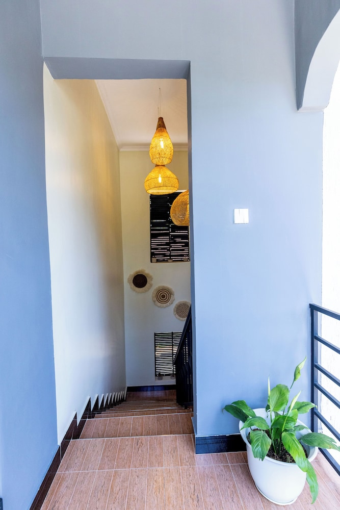 Tadre House's