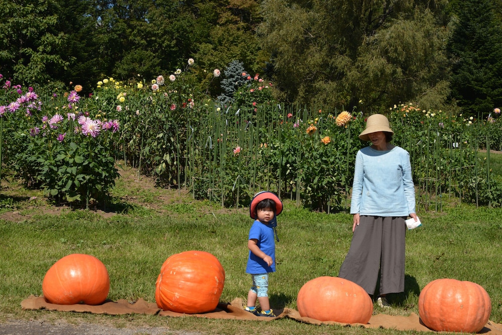 Pension Kamihuusen