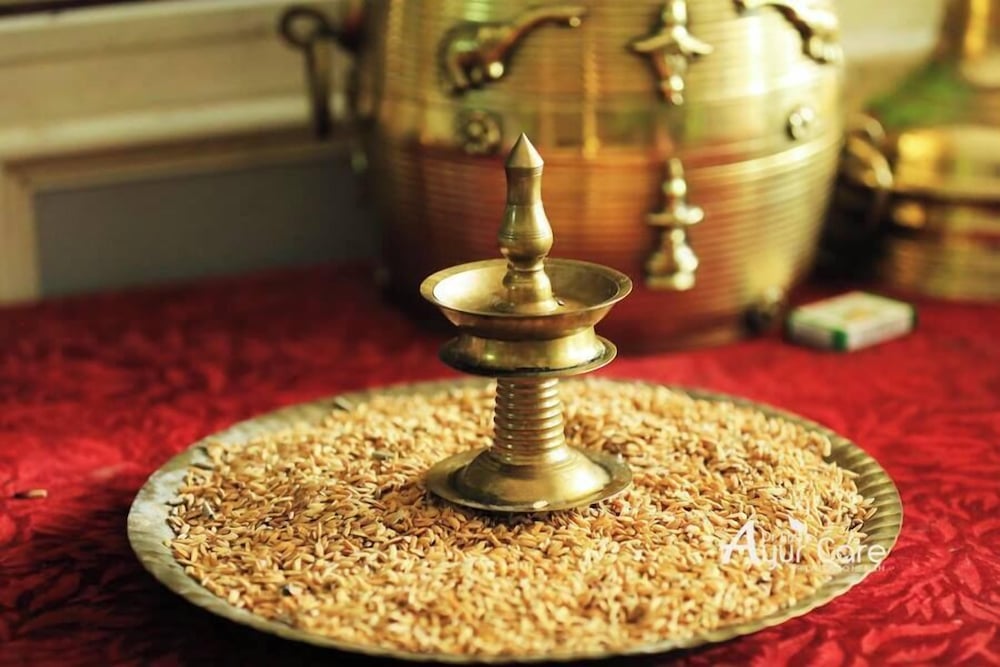 Dr Elzas Ayurveda