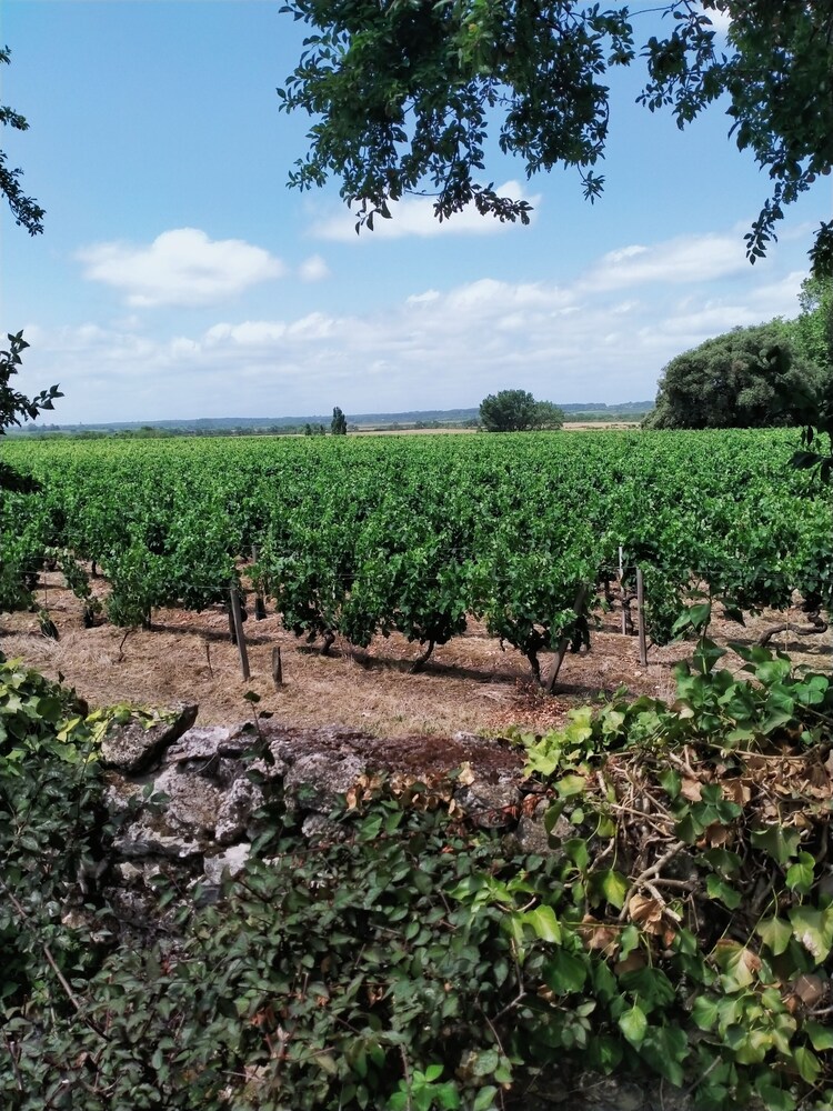 La Cadournaise