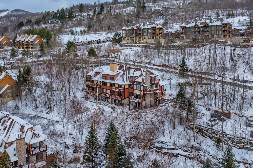 Algonquin by RVMT