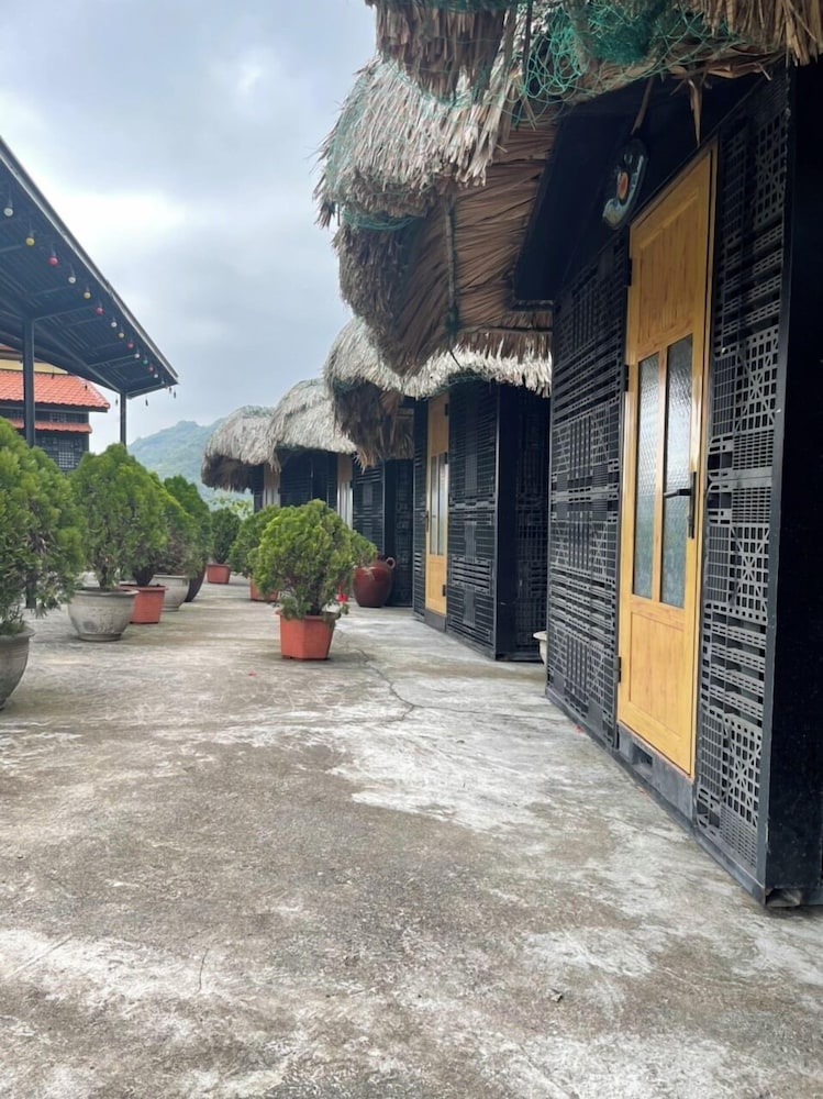 Cat Ba Mountain View