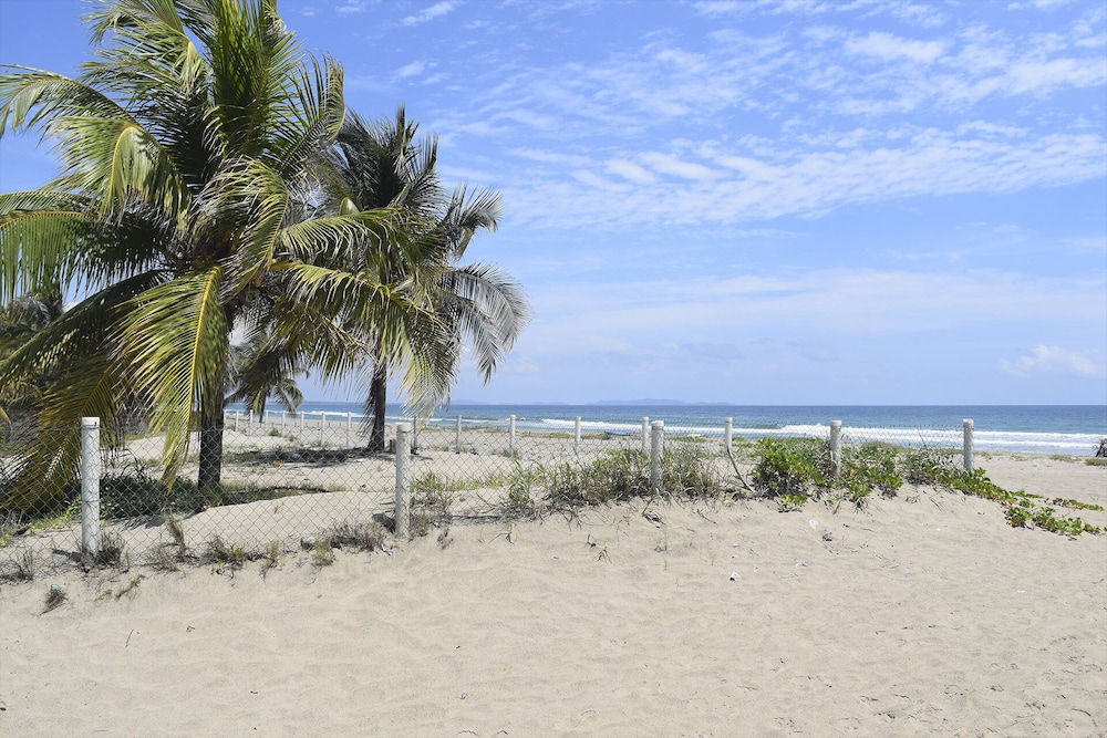 Photo 44