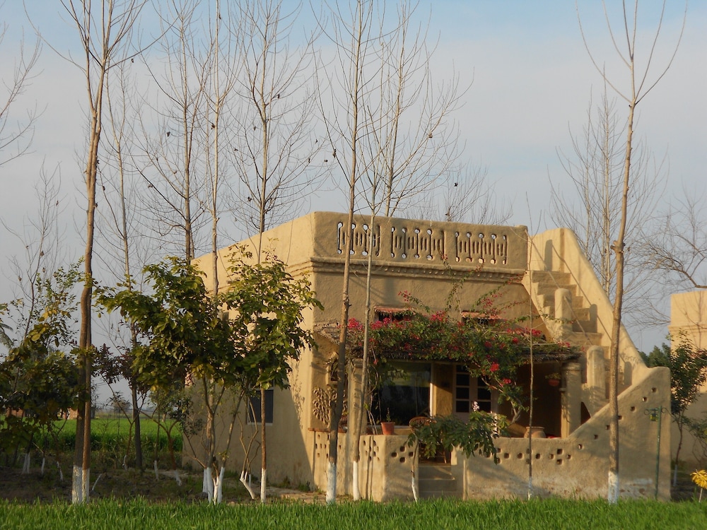 Punjab village farm near Amritsar