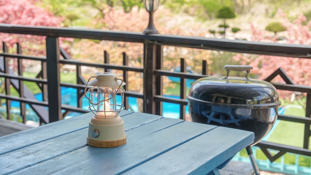 Gapeong Eoneunal Spa Pet Pension