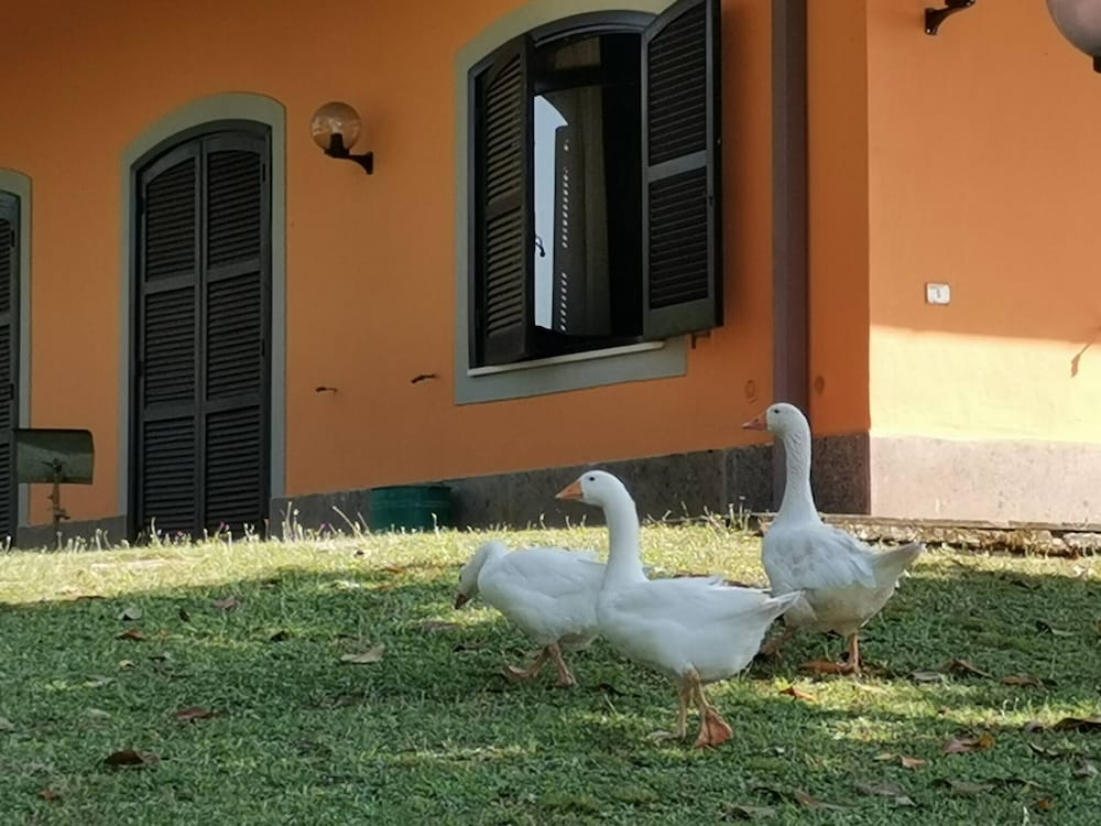 Serene Italian Retreat in Monte Caminetto, Rome Casa Airone