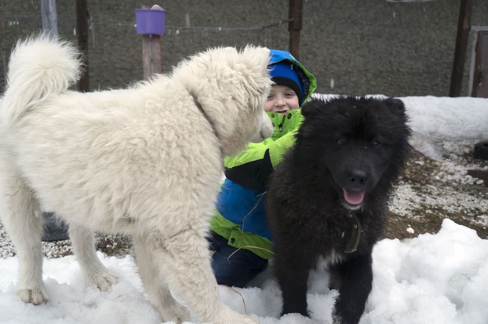 BaikalYeti