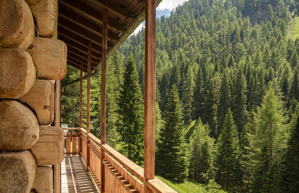 Traditional Chalet With Garden