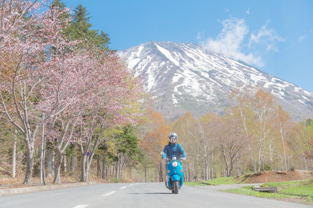 Zen Niseko
