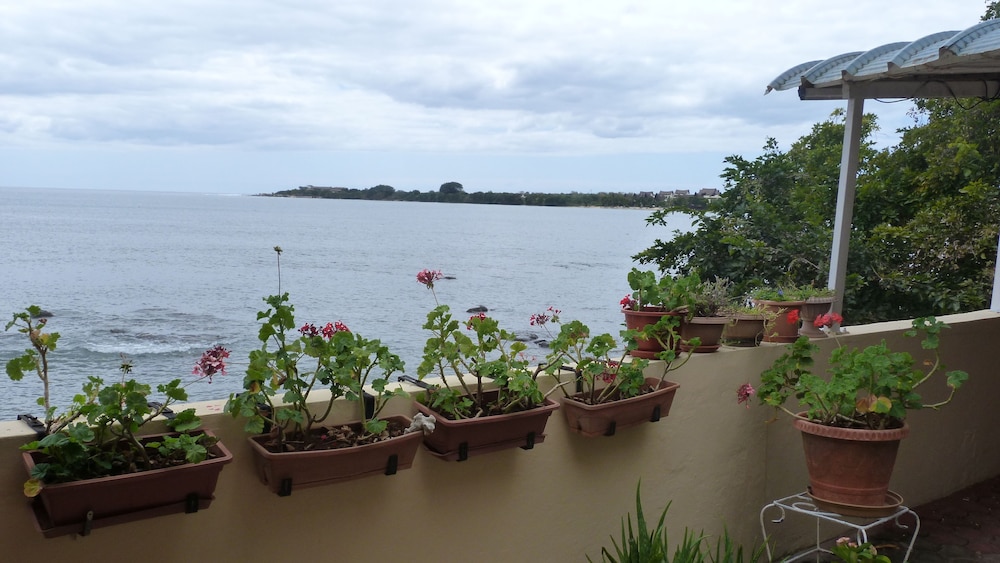Le Cactus Guesthouse
