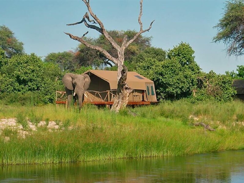 Camp Linyanti