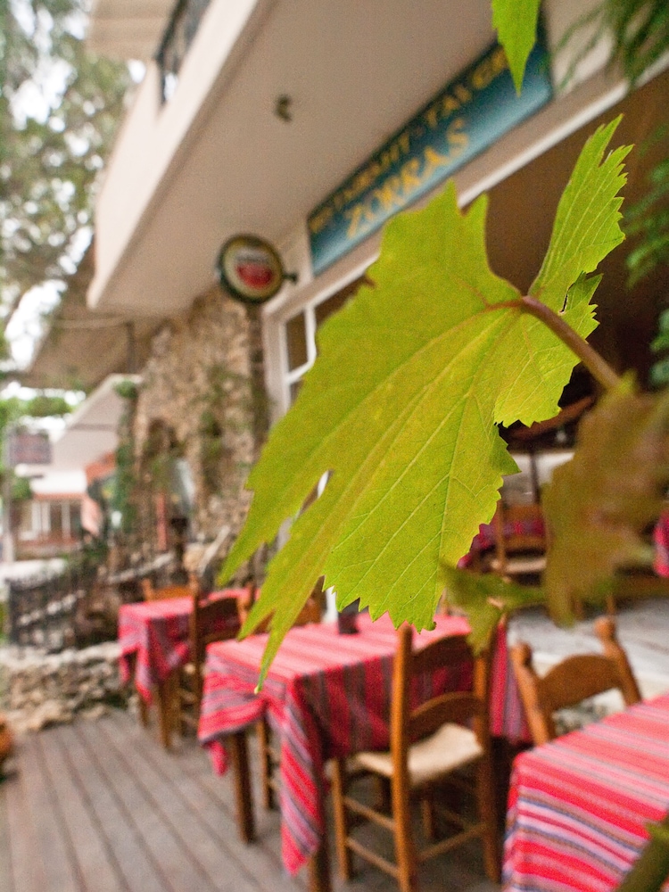 Zorbas Hotel