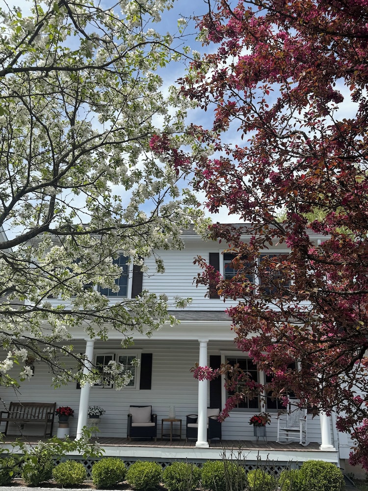 Williston Village Inn