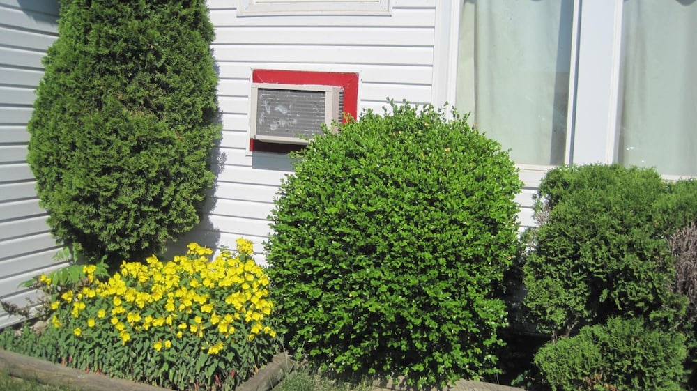 Rosecourt Motel