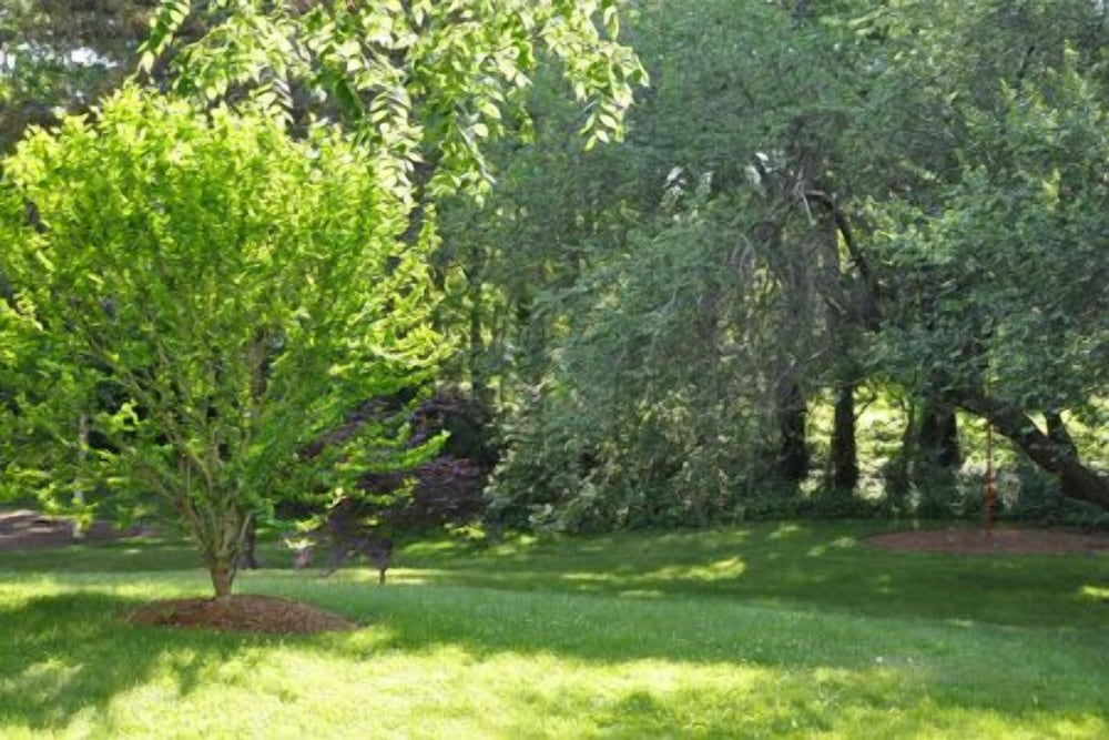 The Inn at the Oaks, photo 38