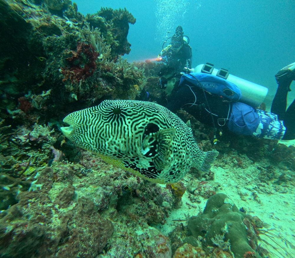 ANDAU DIVE RESORT - RAJA AMPAT