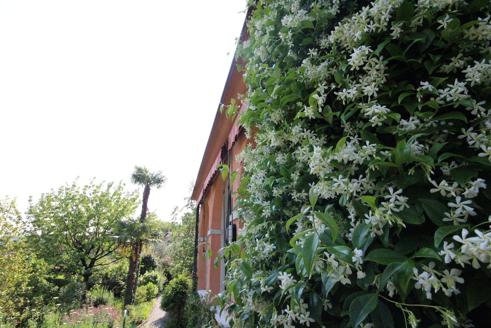 Photo 28