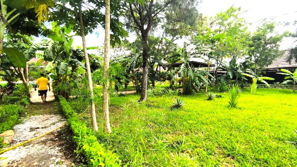 zanzllywood hotel and apartments