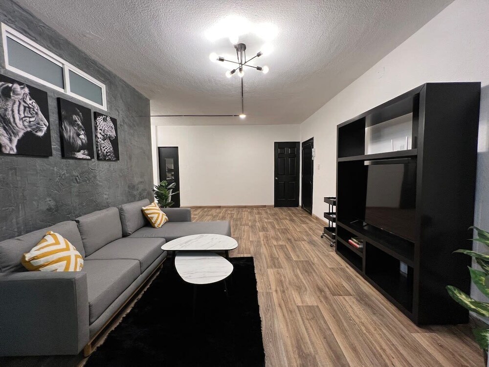 Spacious Apts in Chic Polanco photo 4