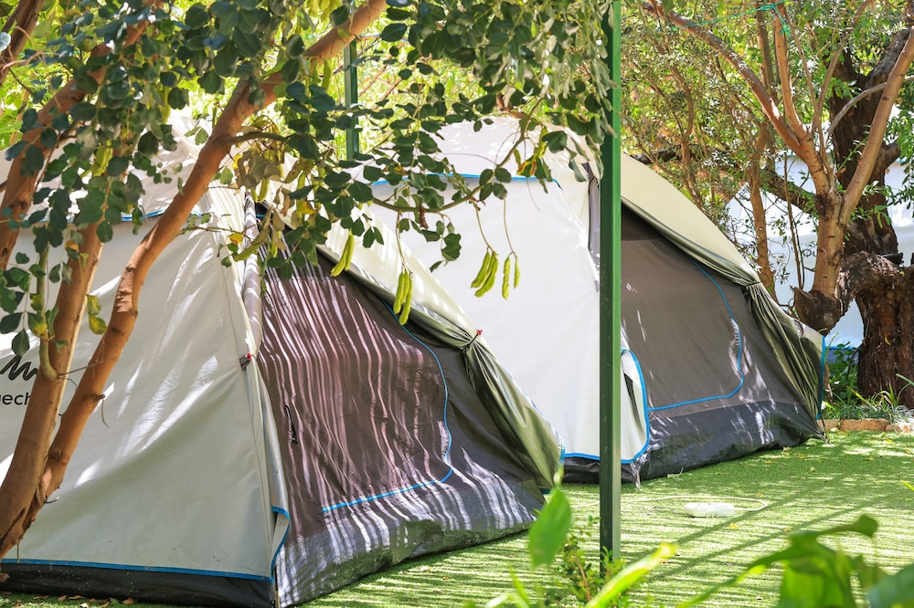 Harnup Apart - Image 48