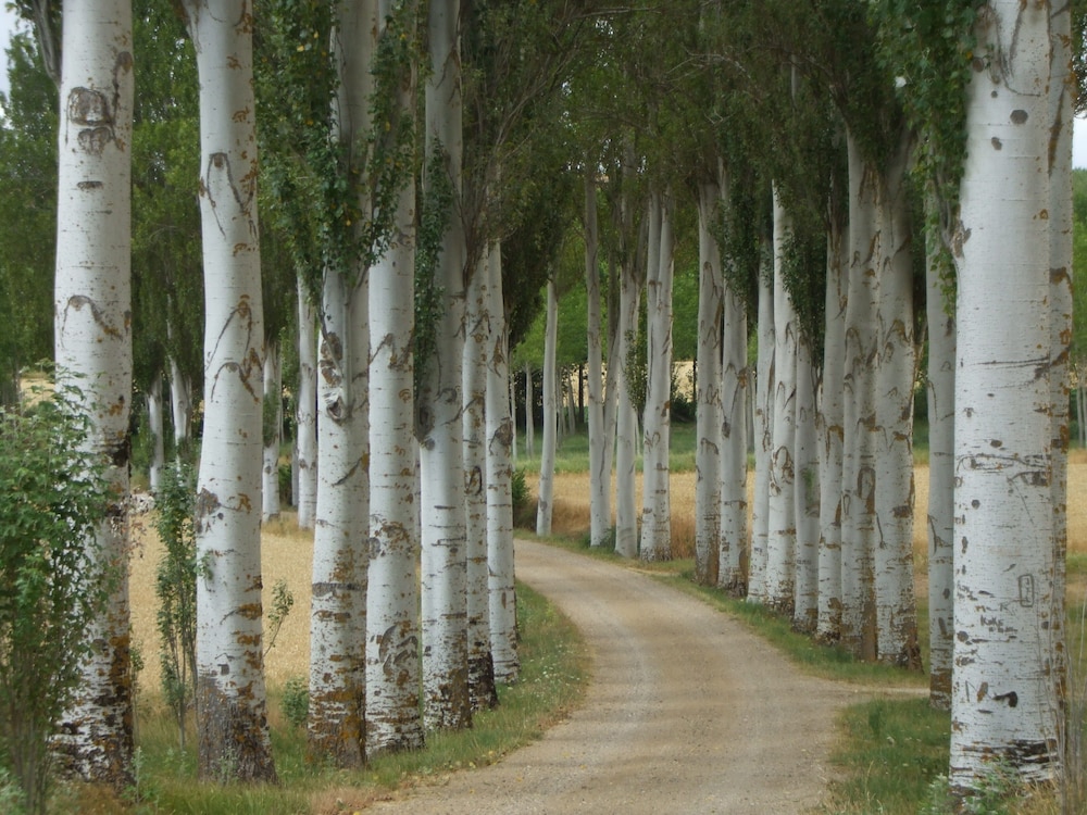 Finca Santa Eufemia