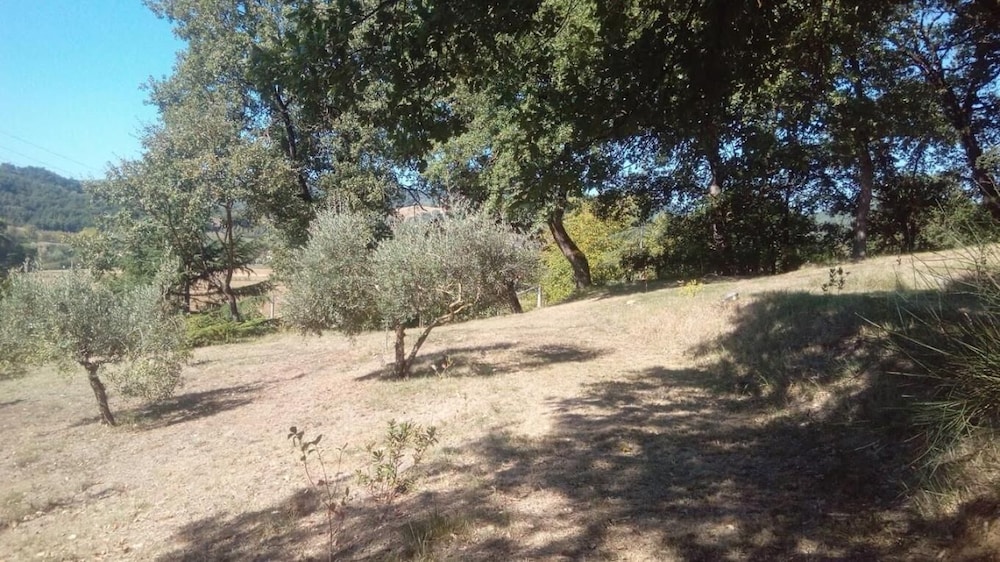 Photo 31