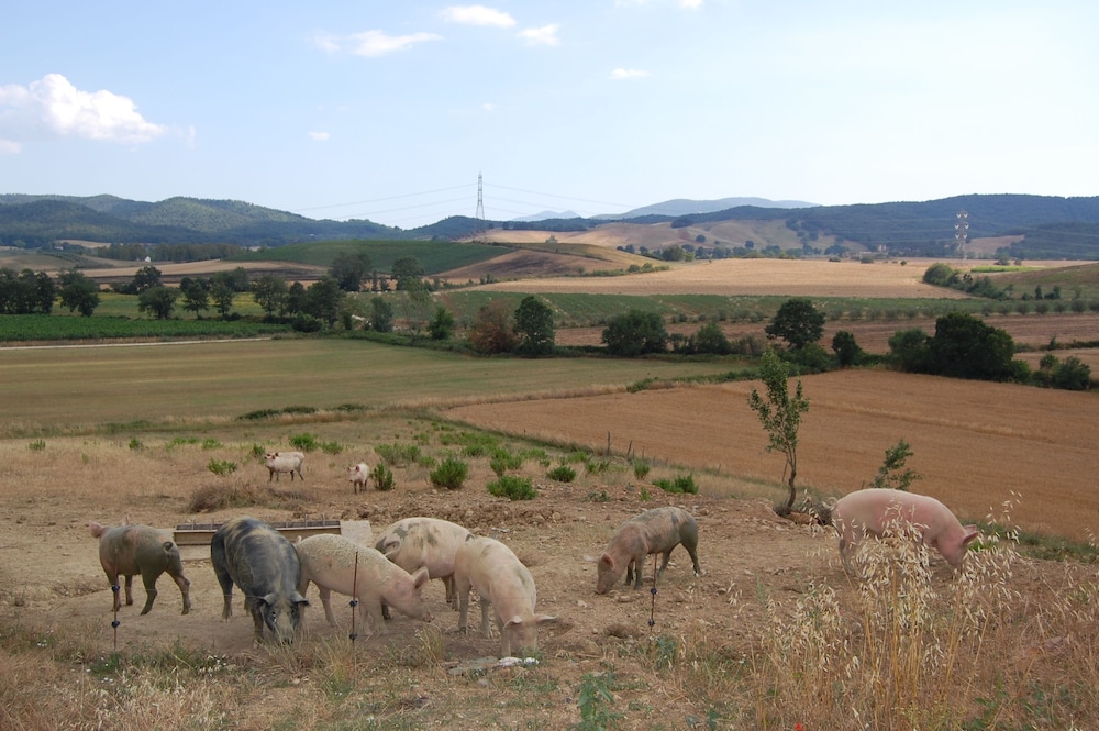 Agriturismo Montepozzalino