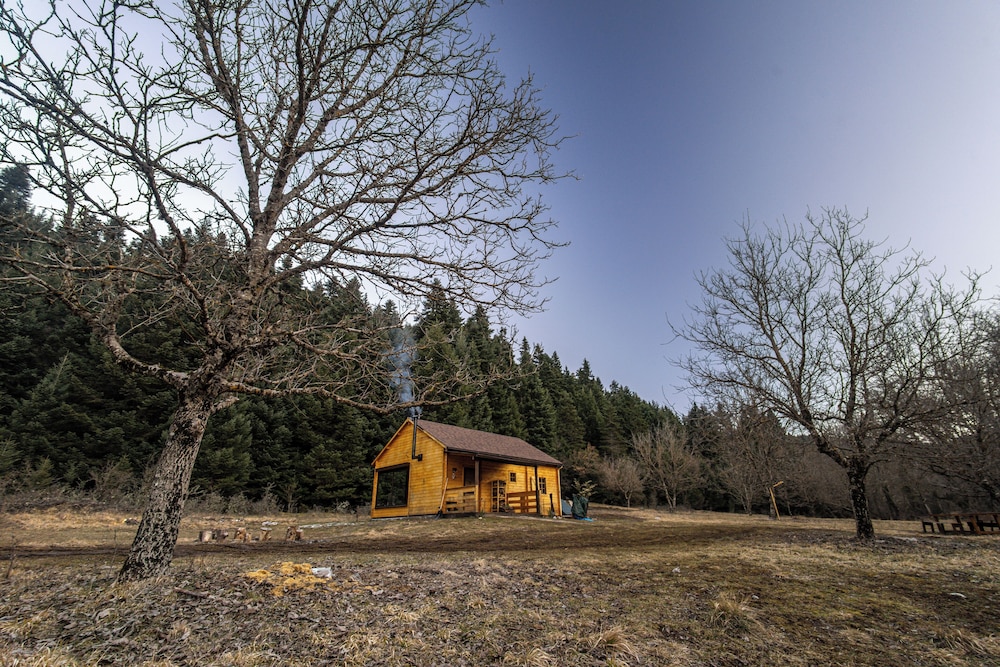 Wood Cabin by the River