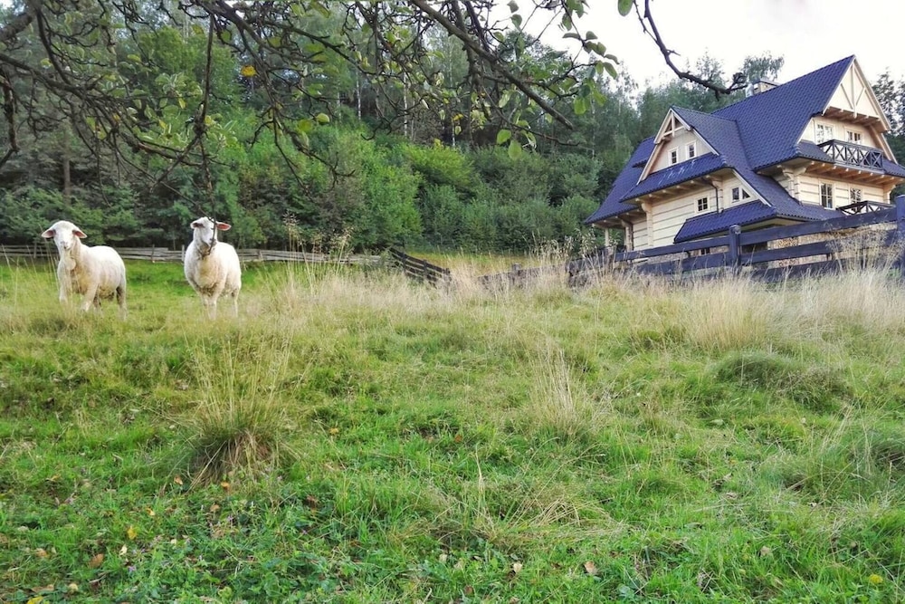 Beautiful Large Villa in Tylmanowa view 2