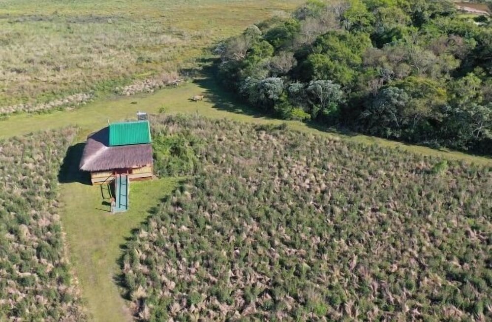Wild Wetlands Lodge