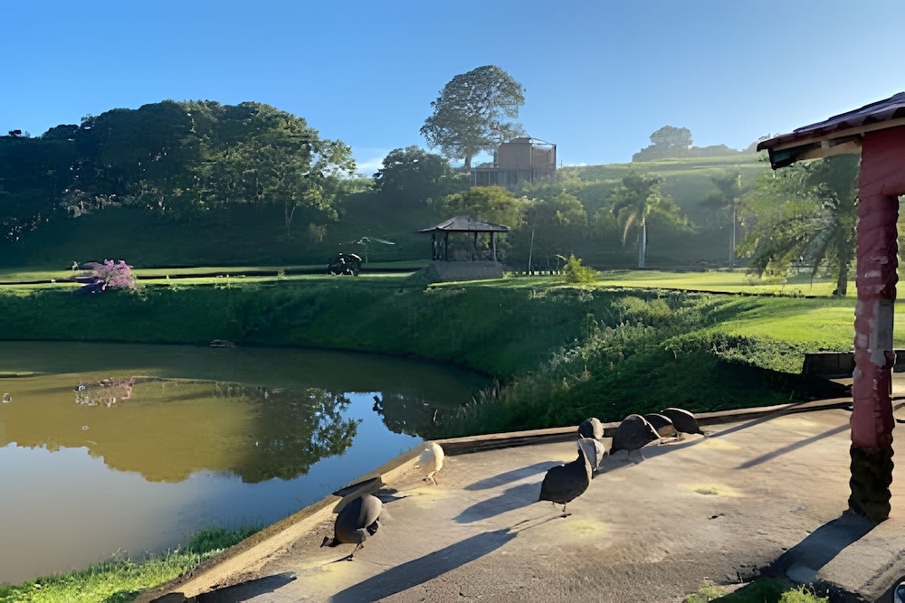 Fazenda Realeza