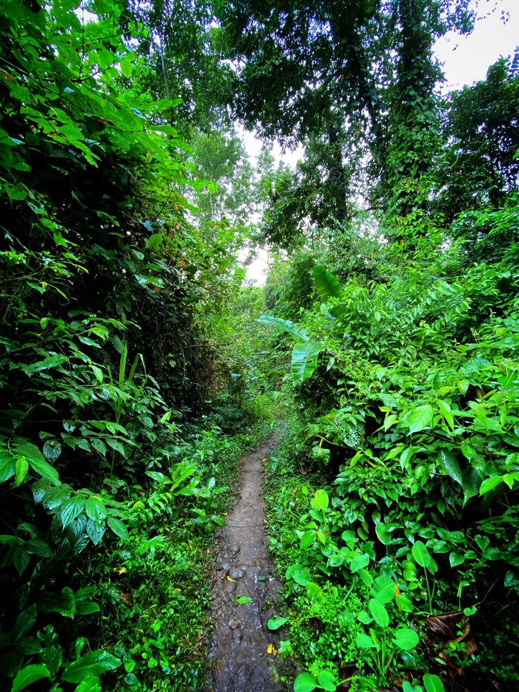 Las Arrieras Nature Reserve