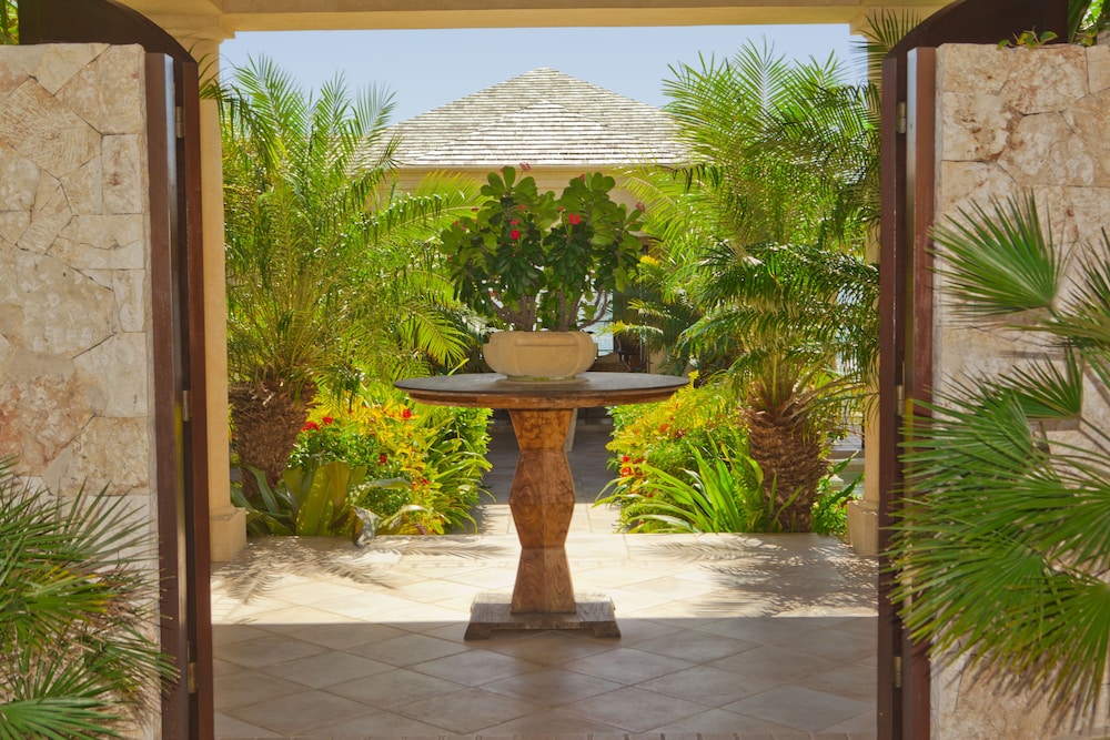 Anguilla's Bird of Paradise