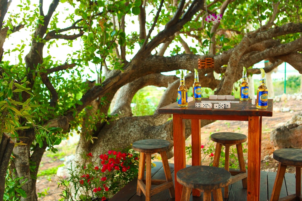 Anguilla's Bird of Paradise