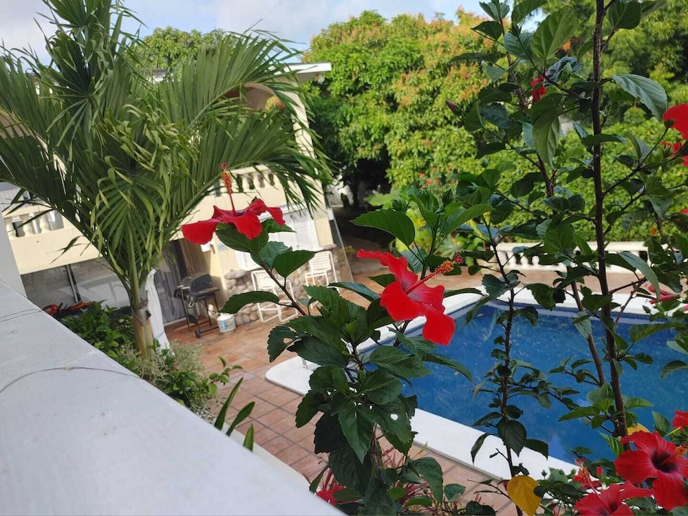 Chez Mango Villas - Photo 39