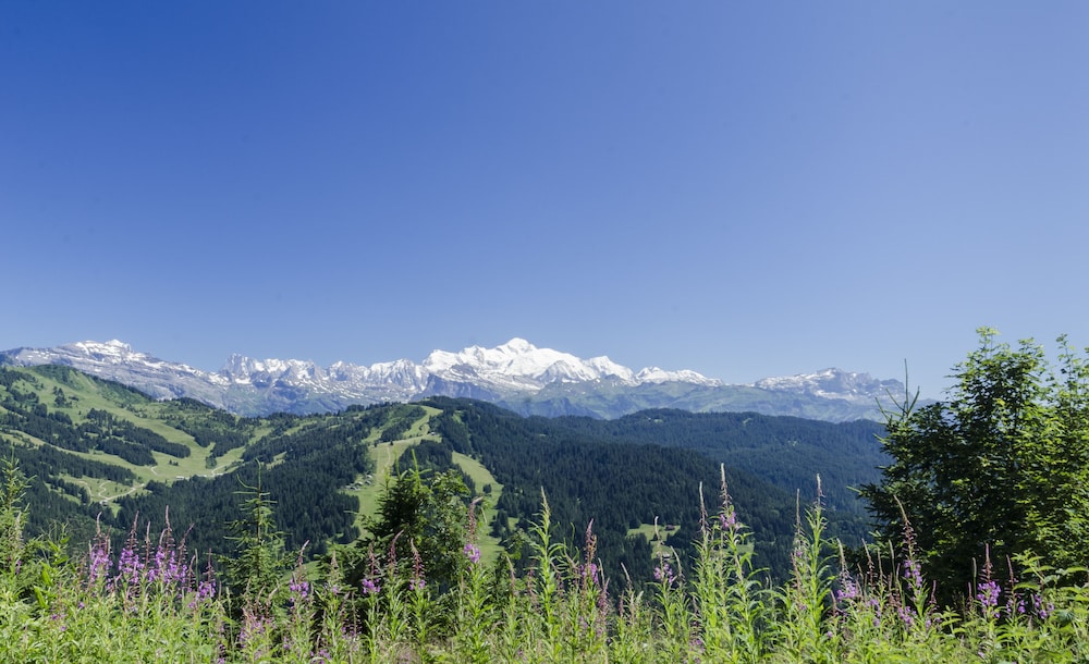 Chalet Bluebell