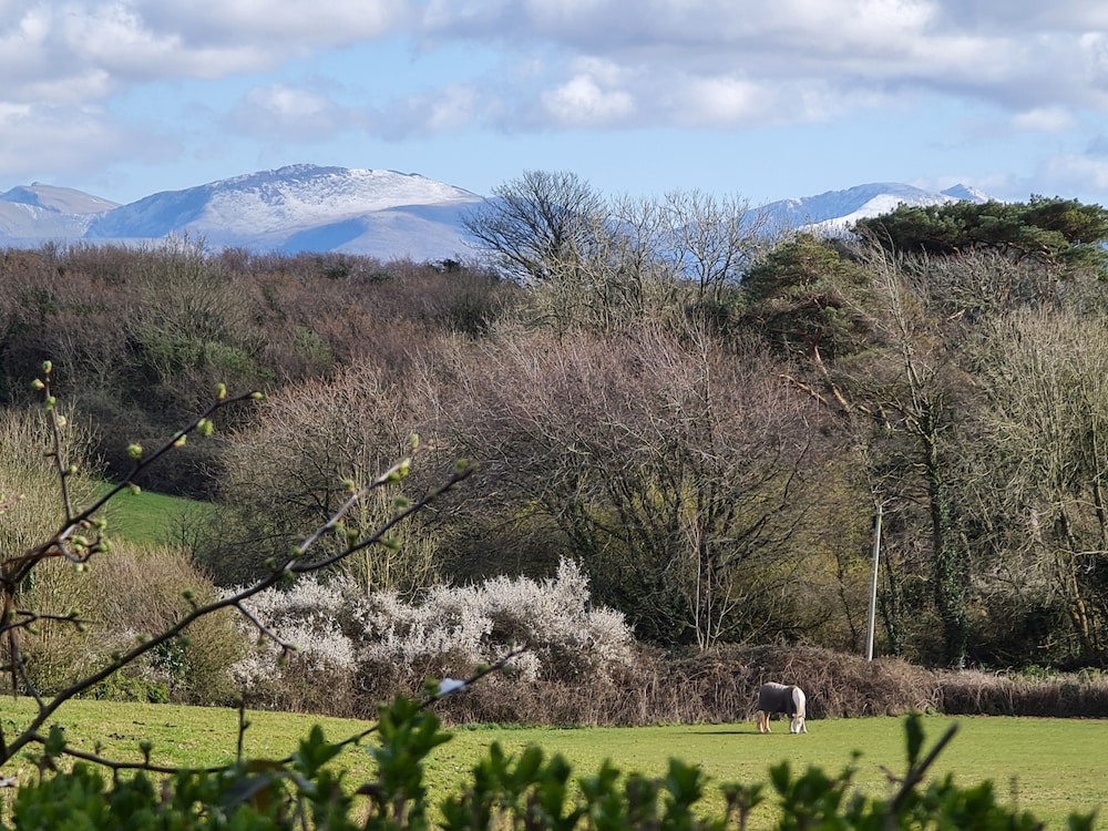 Neuadd Wen