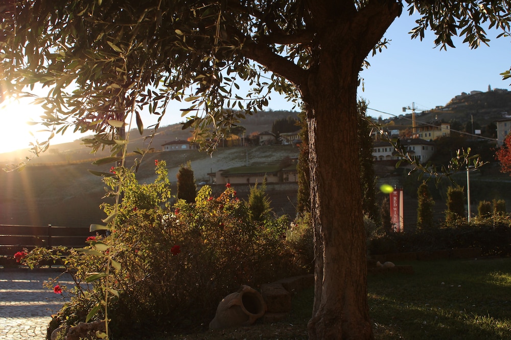 Red Wine - Guest House view 3