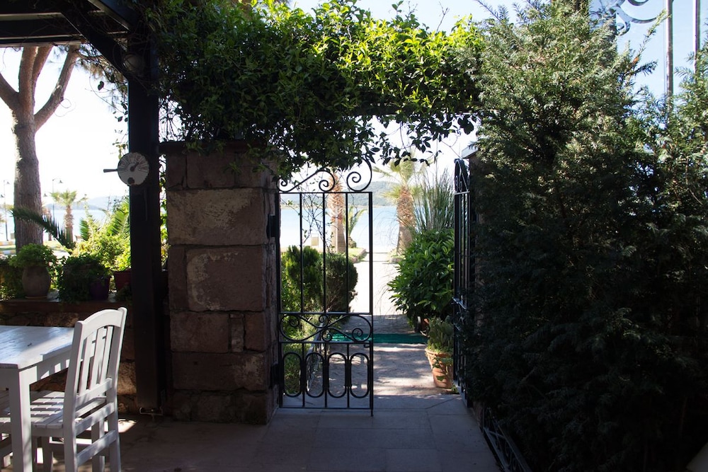 Aliye Hanım - Image 44