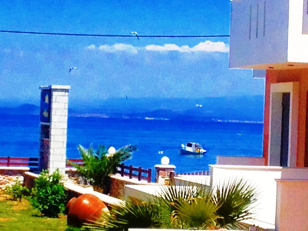 Nitelli's Houses photo 1