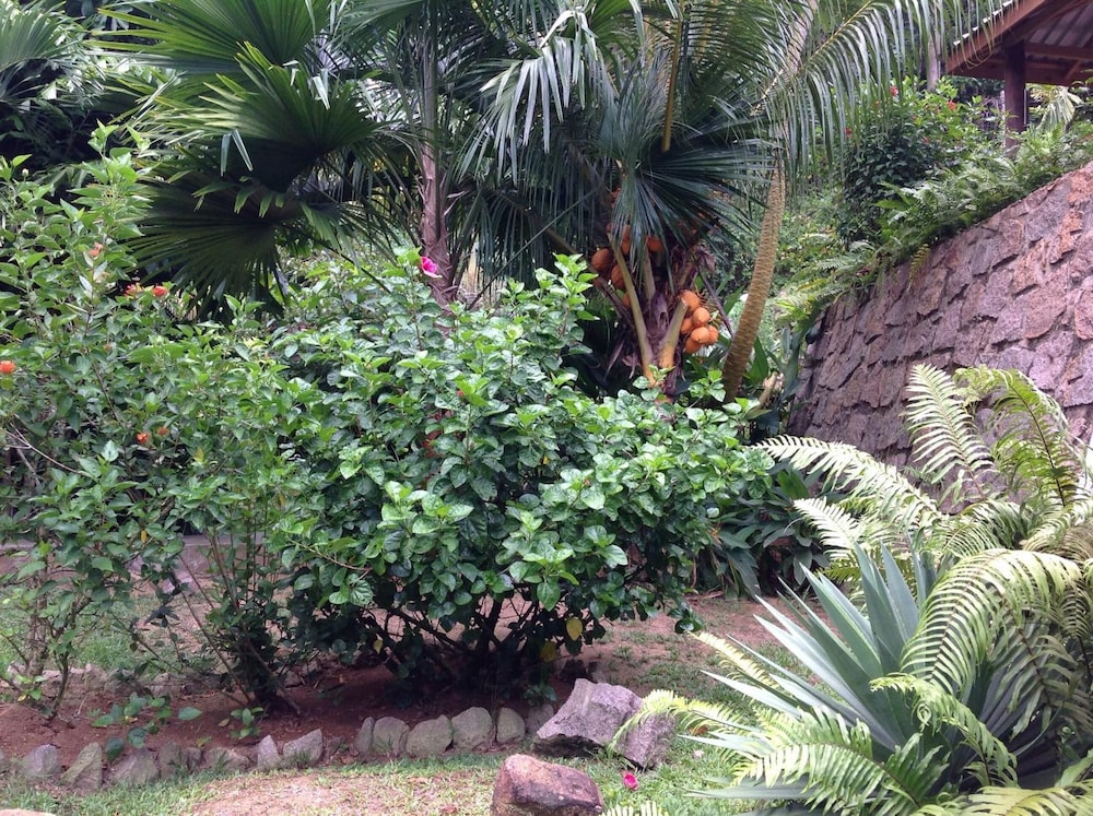 A Peace in Paradise