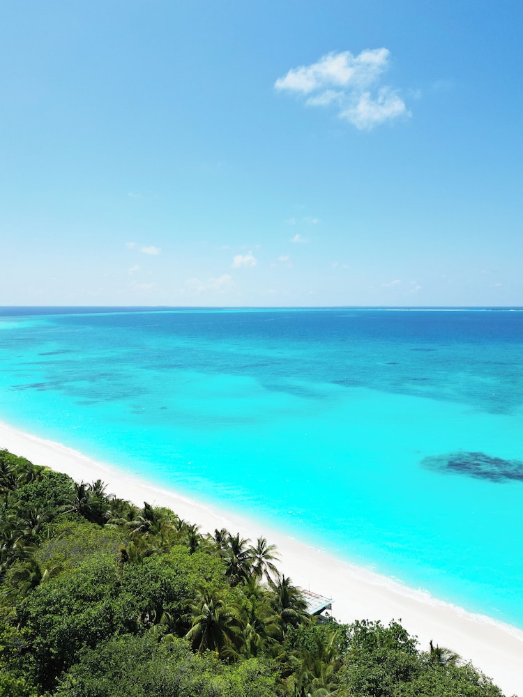 Blue Coral Vashafaru