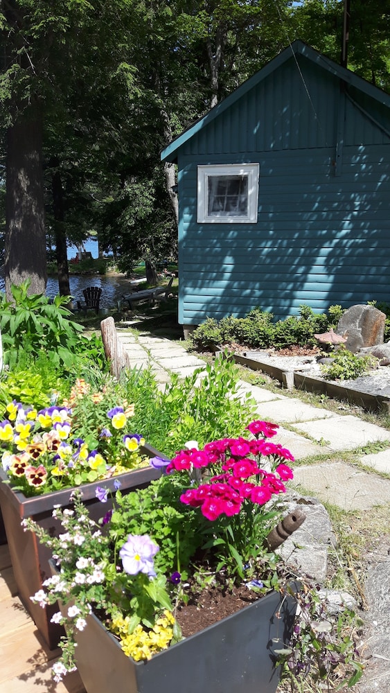 Black Lake Cabins