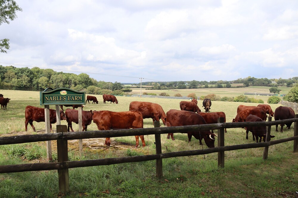 Woodmans Cottage @ Nables Farm