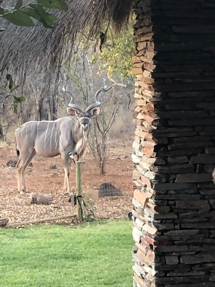 Call of the Wild Lodge