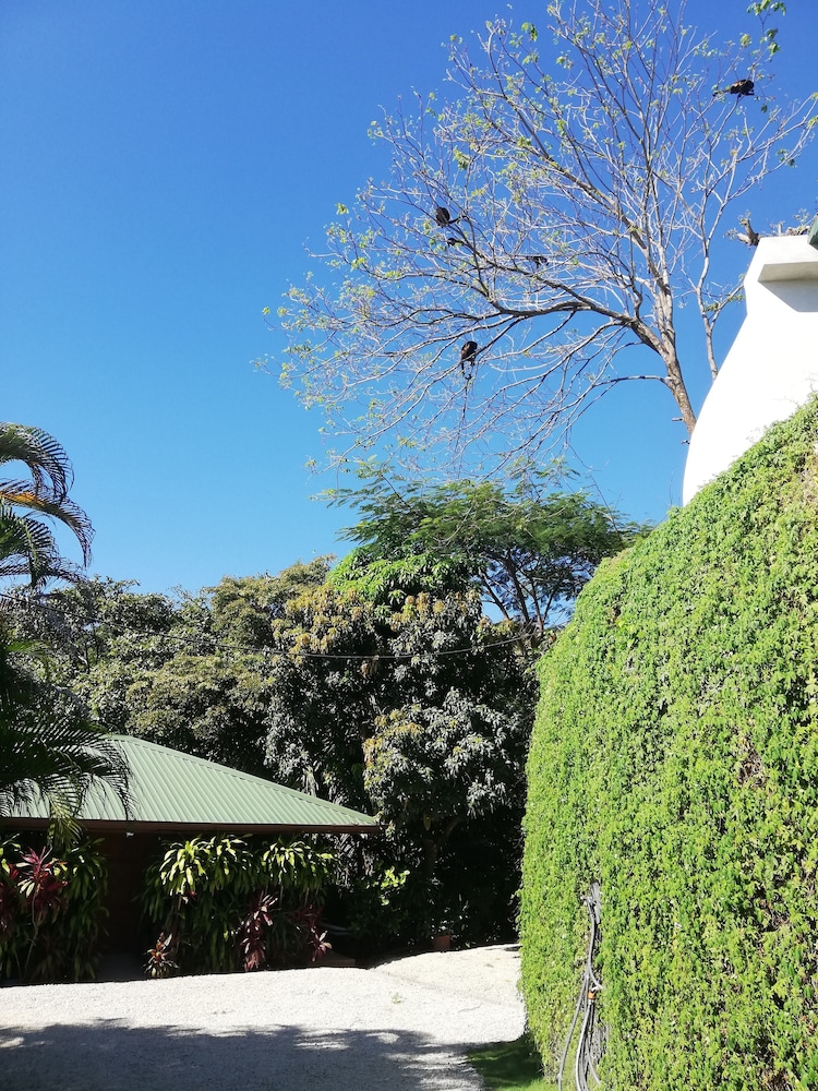 Vista Naranja Ocean View House
