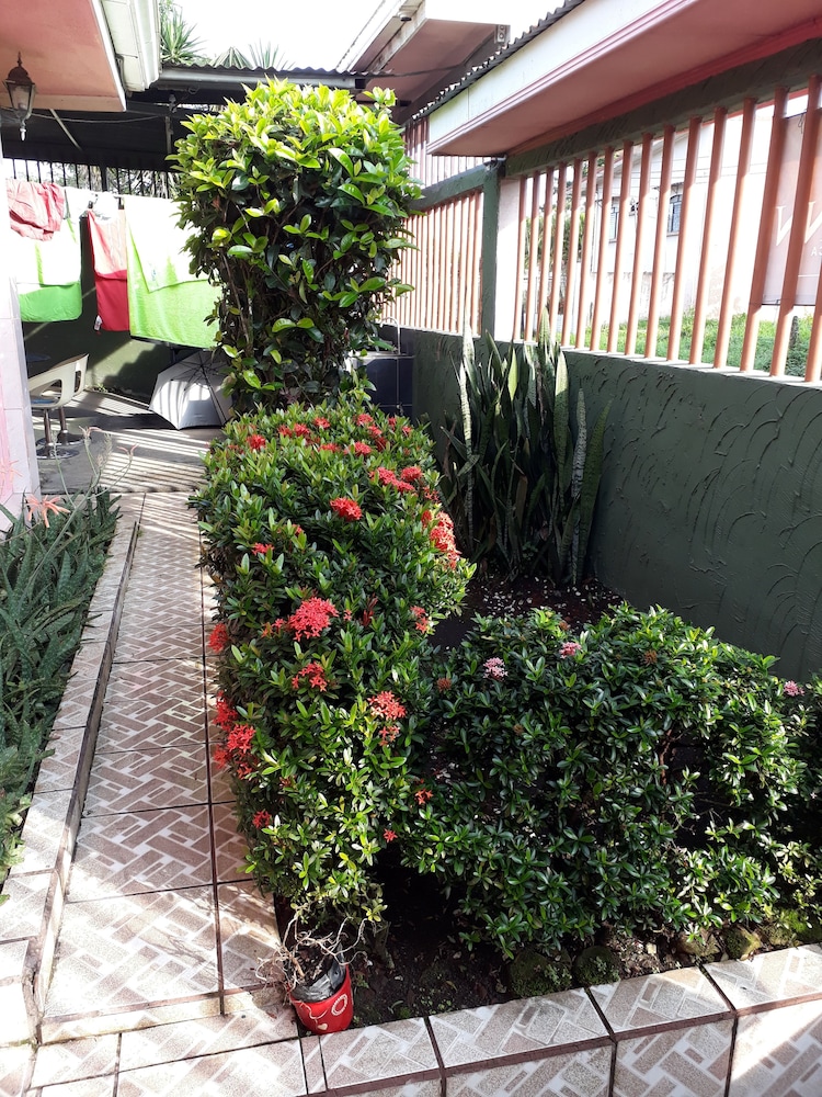 Arenal Volcano - Costa Rica Vacations - Sunset Inn Valle del Volcan - Property Image 31