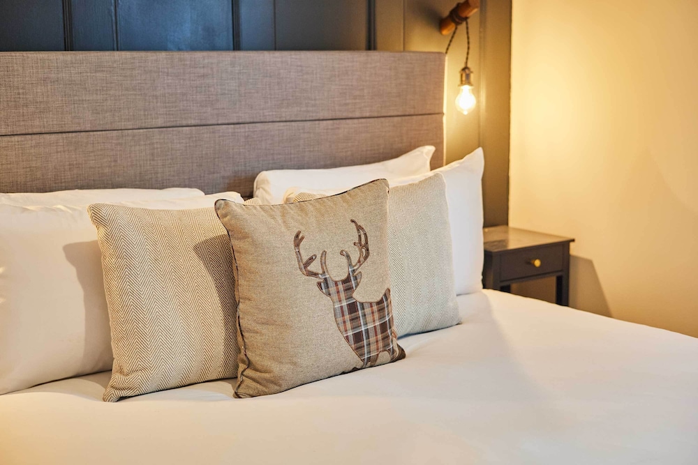 Host Stay Daisy Cottage