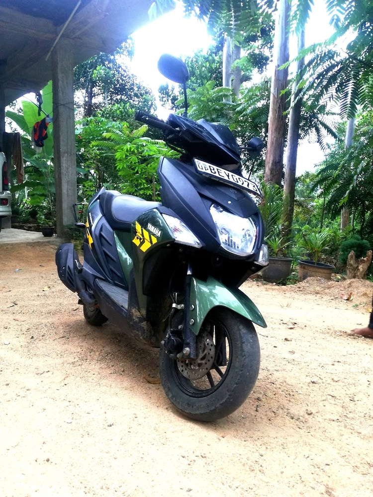 Photo 34