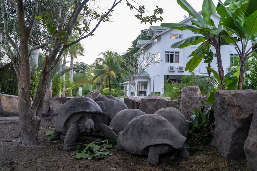 La Modestie Villa